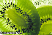 foto � Riccardo Sala