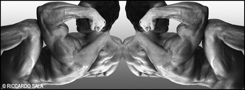 vedi immagini fotoart
