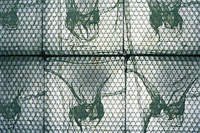 foto � Riccardo Sala