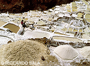 Peru, Salinas di Maras - foto � Riccardo Sala/Tipsimages